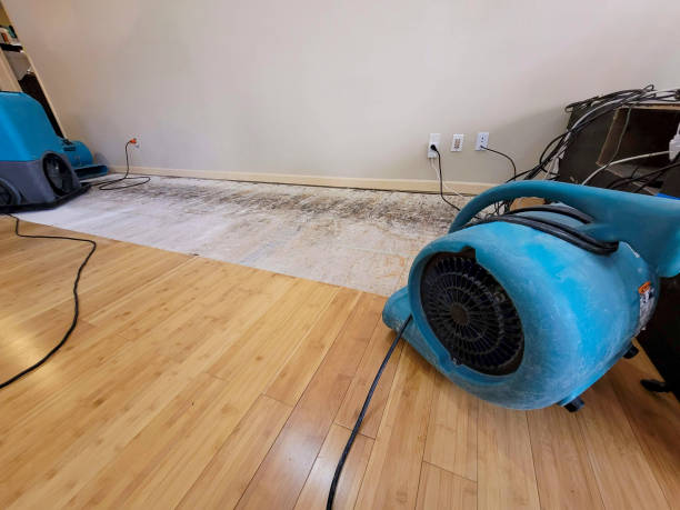Professional Structural Drying technician working in Helen, GA